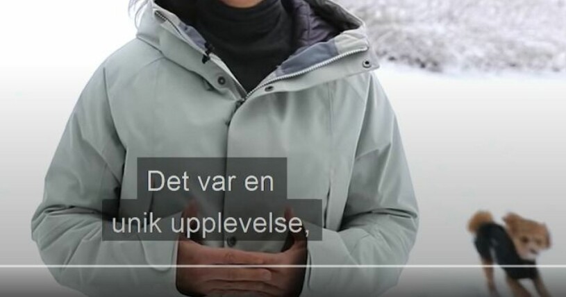 Ser ni Rio ner i hörnet? Kronprinsessan Victoria och Rio