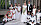Kronprinsessan Victoria Prins Daniel Bröllopet 2010 Prinsessan Catharina-Amalia av Nederländerna brudnäbb