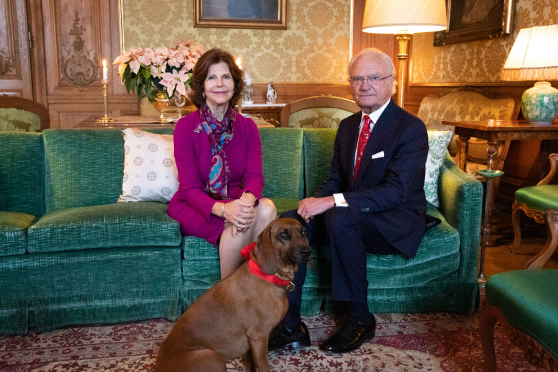Kungaparet med sin hund Brandie. Nu under isoleringen bor de ibland på Stenhammar, ibland på Drottningholm. Kung Carl Gustaf Kungen Drottning Silvia Hunden Brandie Förlovningssoffan