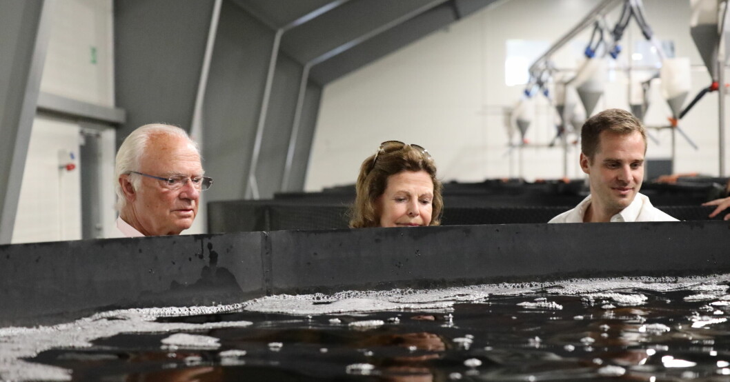 Kungen och drottningen på besök i Skåne. Foto: David Levin/Gårdsfisk Kung Carl Gustaf och drottning Silvia på uppdrag