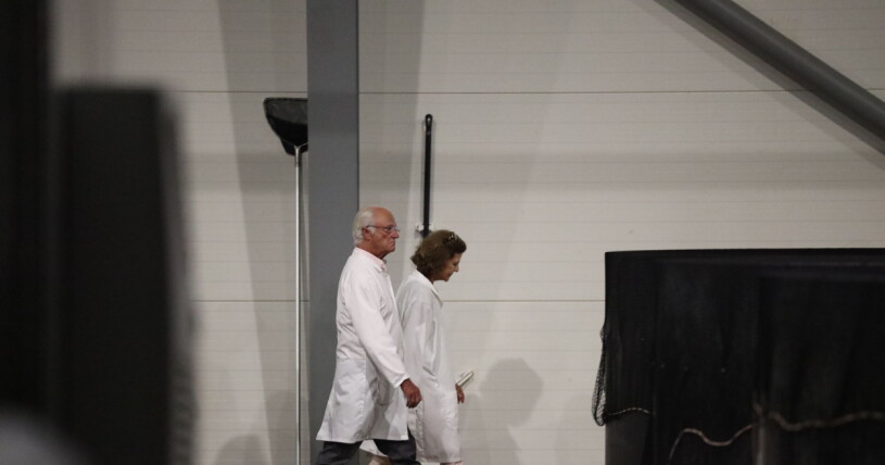 Foto: David Levin/Gårdsfisk Kung Carl Gustaf och drottning Silvia på uppdrag