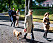 Kungen drottning Silvia kronprinsessan Victoria prins Daniel hunden Brandie promenad Djurgården Alice Aycock