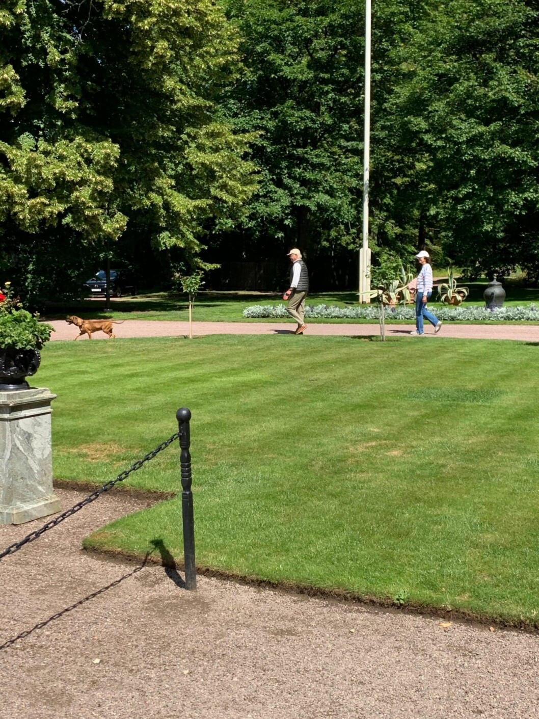 Kungaparet och hunden Brandie njuter av en skön söndagspromenad. kungaparet promenad solliden