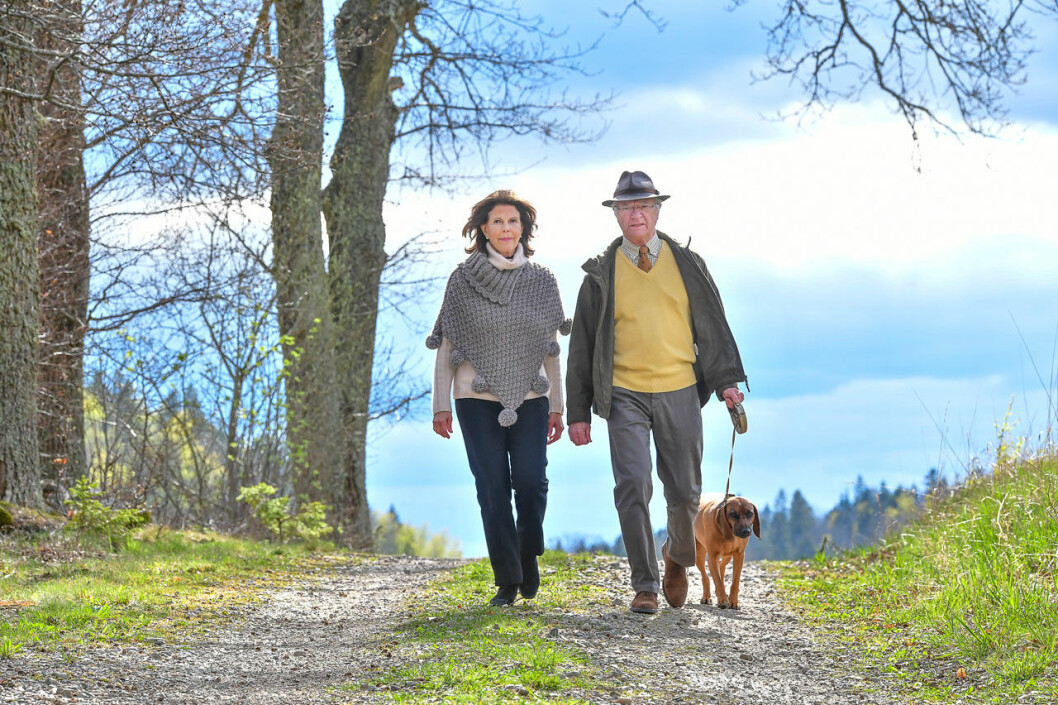 På vårpromenad med hunden Brandie. Kungens födelsedag 2020 på slottet Stenhammar.