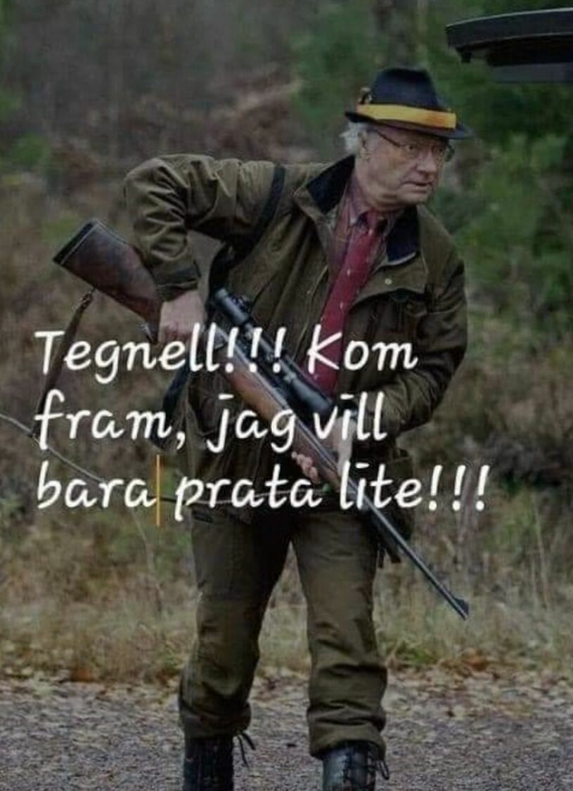 Här är den osmakliga bilden på kungen som sprids. Kungen