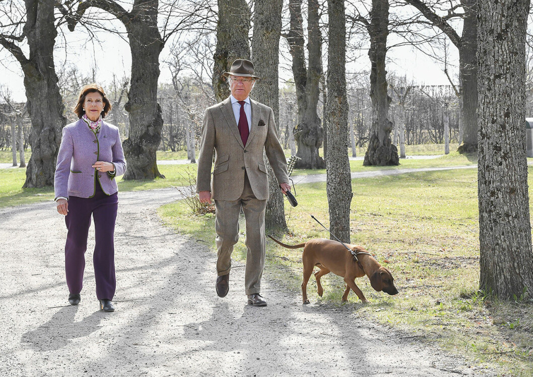 Kungen och drottningen tillsammans med hunden Brandie. Kungen och drottningen tillsammans med hunden Brandie.