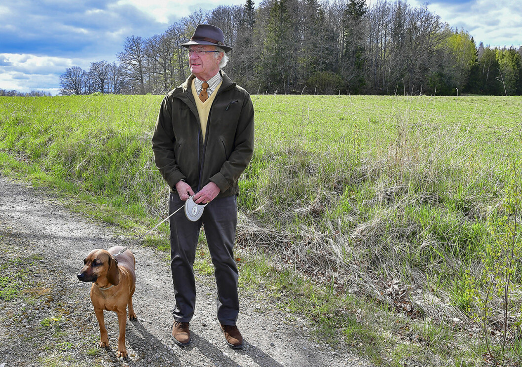 FLEN 20200429<br>Kung Carl Gustaf med hunden Brandie vid Stenhammar slott utanfˆr Flen.<br>Foto: Jonas Ekstrˆmer / TT / kod 10030
