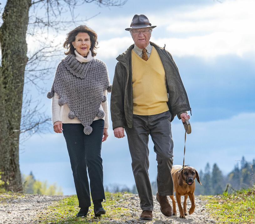 Kungaparet på en av sina många hundpromenader, våren 2020. Kungen Drottningen Drottning Silvia Kungaparet Hunden Brandie Bayersk viltspårhund Stenhammar