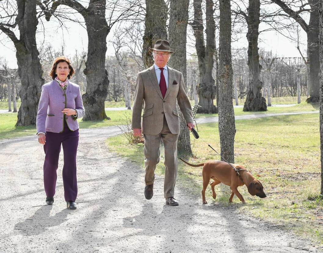 Vilken trevlig dag på Drottningholm! Och kungen var på sitt bästa humör. ”Det är den här informella och hjärtliga sidan av kungen som vi möter till vardags” säger hovets informationschef Margareta Thorgren. Kungaparet med sin hund Brandie på Drottningholm.