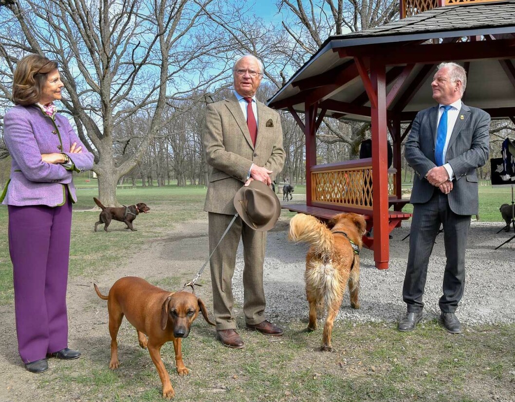 Kungen höll ett spontant tal och så var den nya paviljongen invigd. Till höger slottsfogden Stefan Wirtén. Kungen inviger nya paviljongen på Drottningholm, med drottning Silvia och sin hund Brandie. Till höger Stefan Wirtén, slottsfogde på Drottningholms slott.