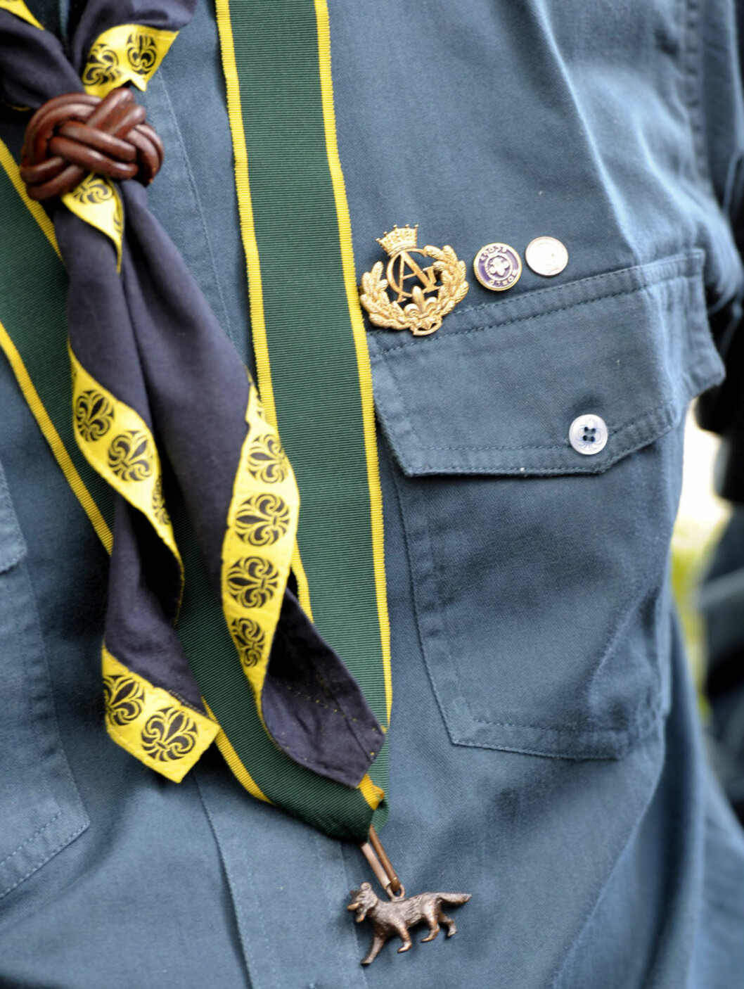Spana in kungens scoutmärken – och vargungen som han bär om halsen. Kungens smeknamn i scouterna är Mowgli.