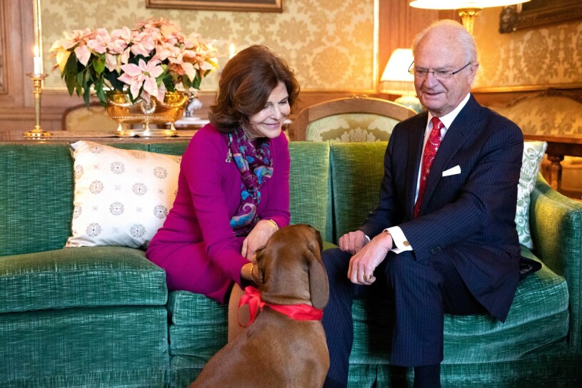 ...och här är soffan i dag: Samma soffklädsel, samma kungapar. Det är bara hunden som är ny. Kungaparet i förlovningssoffan på slottet med hunden Brandie