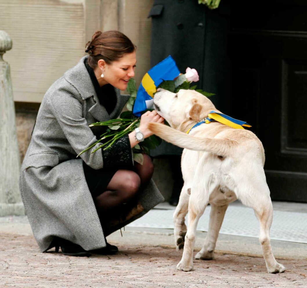 Kronprinsessan Victoria älskade sin Jambo! Kronprinsessan Victoria var stolt matte till kungafamiljens labrador Jambo.