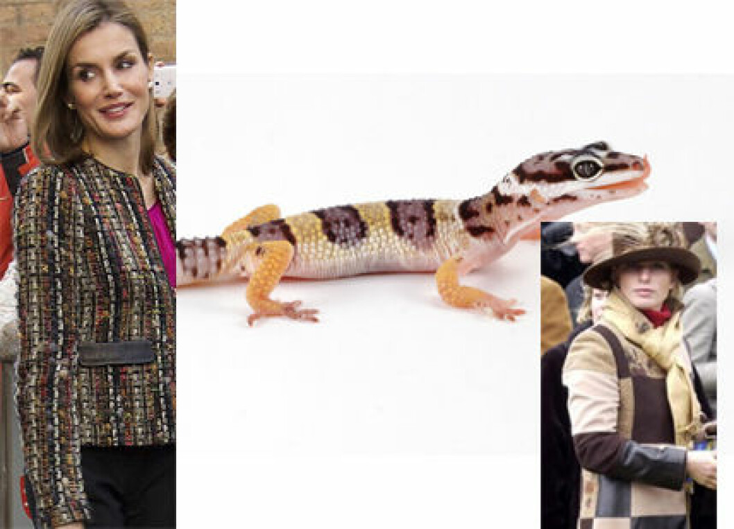 Letizia-8