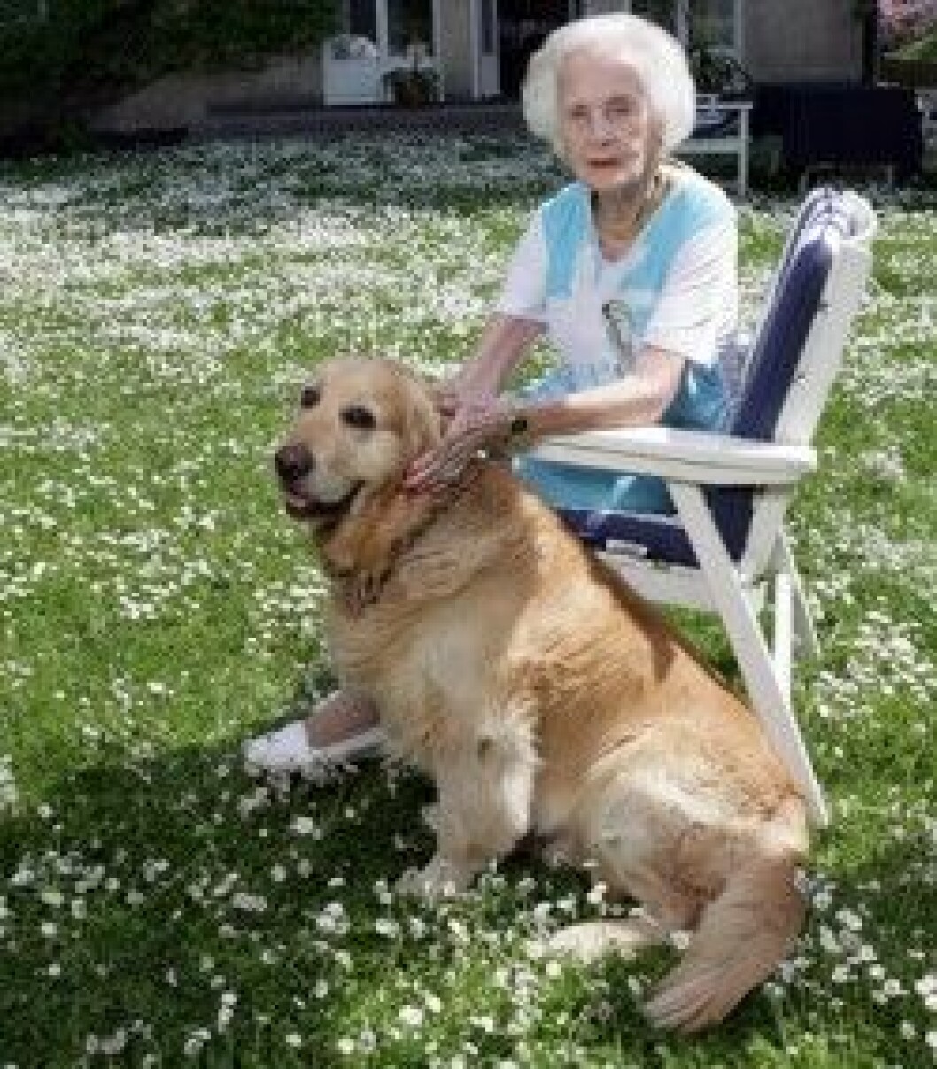 Prinsessan Lilian med sin älskade Bingo. Prinsessan Lilian med sin älskade Bingo.