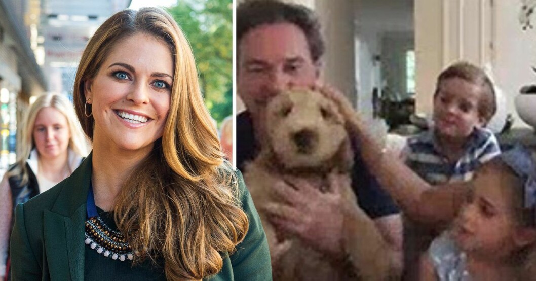 Hunden Teddy sprider glädje hemma hos Madeleine och Chris i Miami. Prinsessan Madeleine Chris O’Neill prins Nicolas prinsessan Leonore hunden Teddy labradoodle