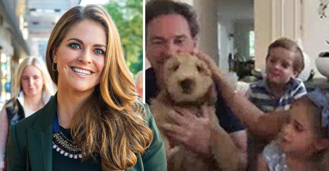 För Madeleines barn Leonore, Nicolas och Adrienne är Teddy bara världens gulligaste hund. prinsessan madeleine hund Teddy