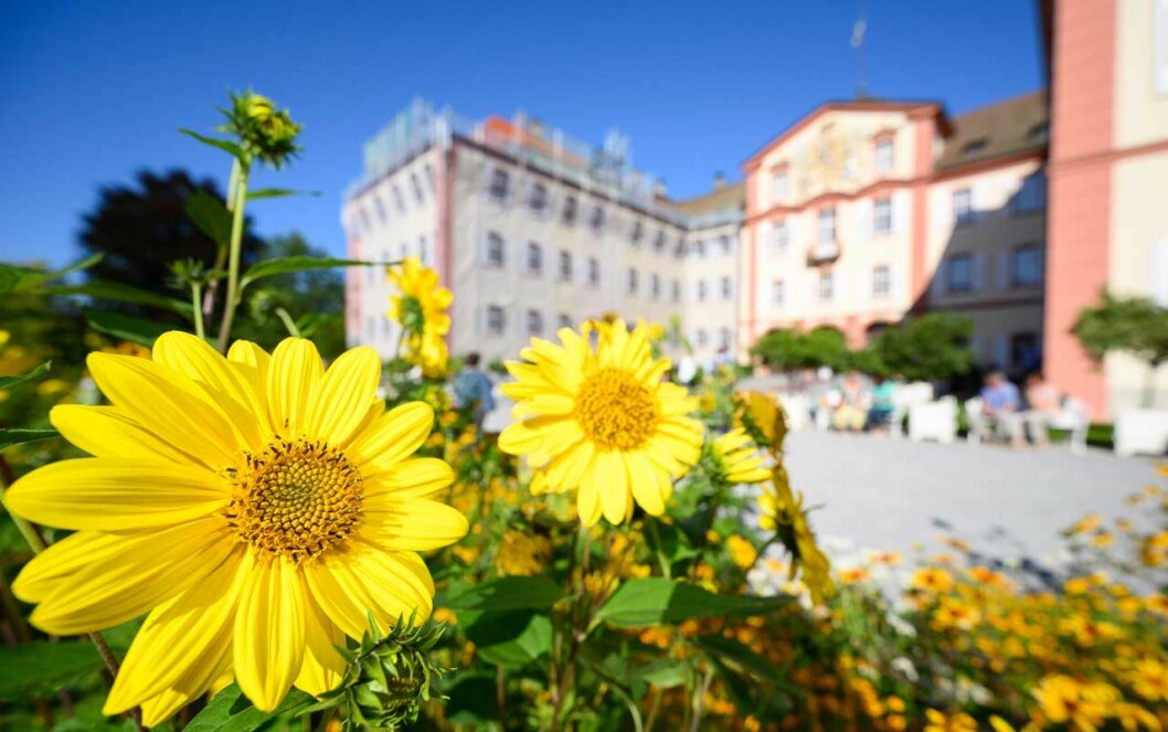 Familjen Bernadottes Mainau i Bodensjön. Familjen Bernadottes slott Mainau i Bodensjön.
