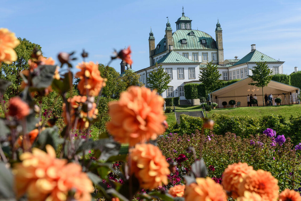 Vackra vita Fredensborgs slott, där Margrethe tillbringar sin hemma-isolering just nu – och där hon dessutom har trädgården full av blommor. Drottning Margrethe om 80-årsdagen