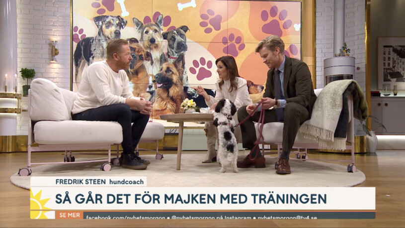 Hundcochen Fredrik Steen med programledarna Maria Forsblom,Martin Järborg och Martins hund Majken i Nyhetsmorgon