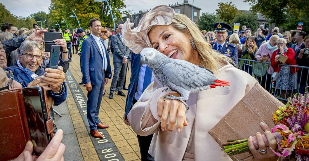 Maxima