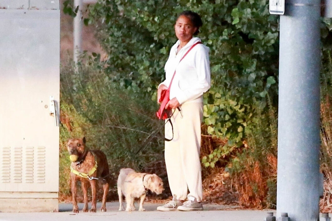 Doria på promenad med sina hundar, en bild som togs häromdagen. Meghans mamma Doria Ragland med sina hundar.