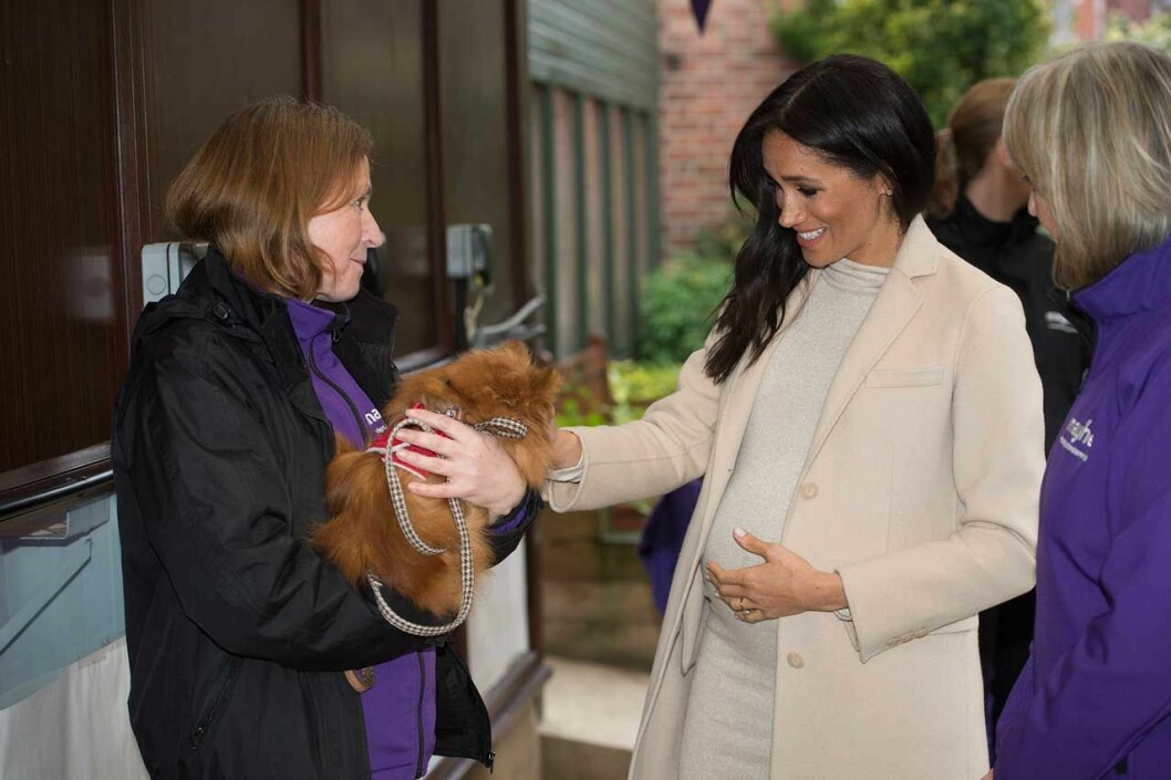 Hertiginnan Meghan den 14 januari. Hertiginnan Meghan den 14 januari.