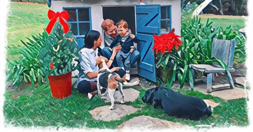 Mayhew fick ett julkort av Harry och Meghan i julas, hundarna var såklart med! meghan harry archie