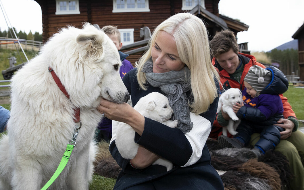 Självklart ska valpens mamma få gosa också! Mette-Marit