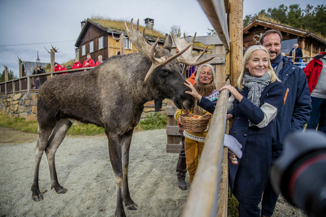 Mette-Marit