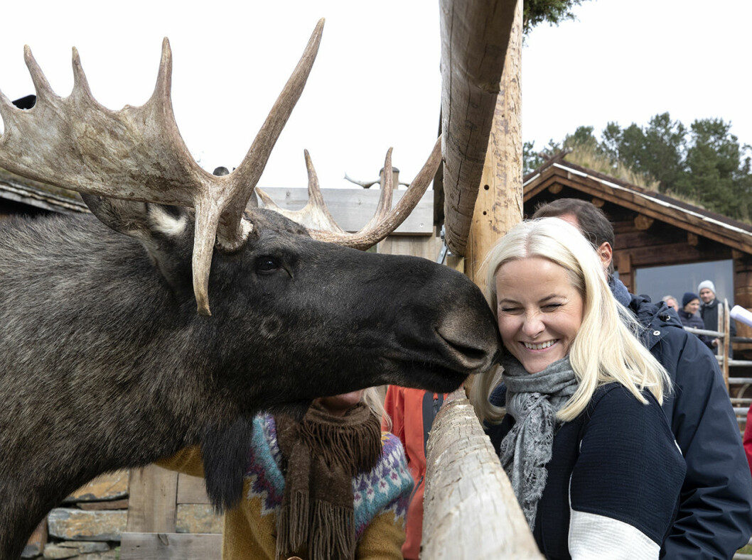 Mette-Marit