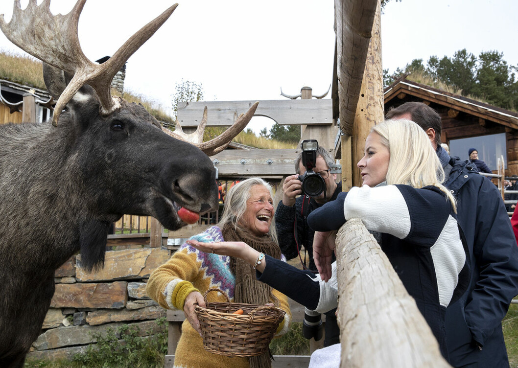 Mette-Marit fick mata älgarna med frukter av alla de slag. Mette-Marit