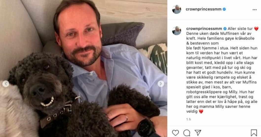 Hunden Muffins med husse kronprins Haakon. Mette-Marit Instagram