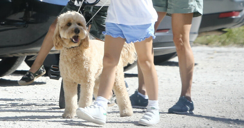 Prinsessfamiljens egna lilla Teddybjörn. Hunden Teddy