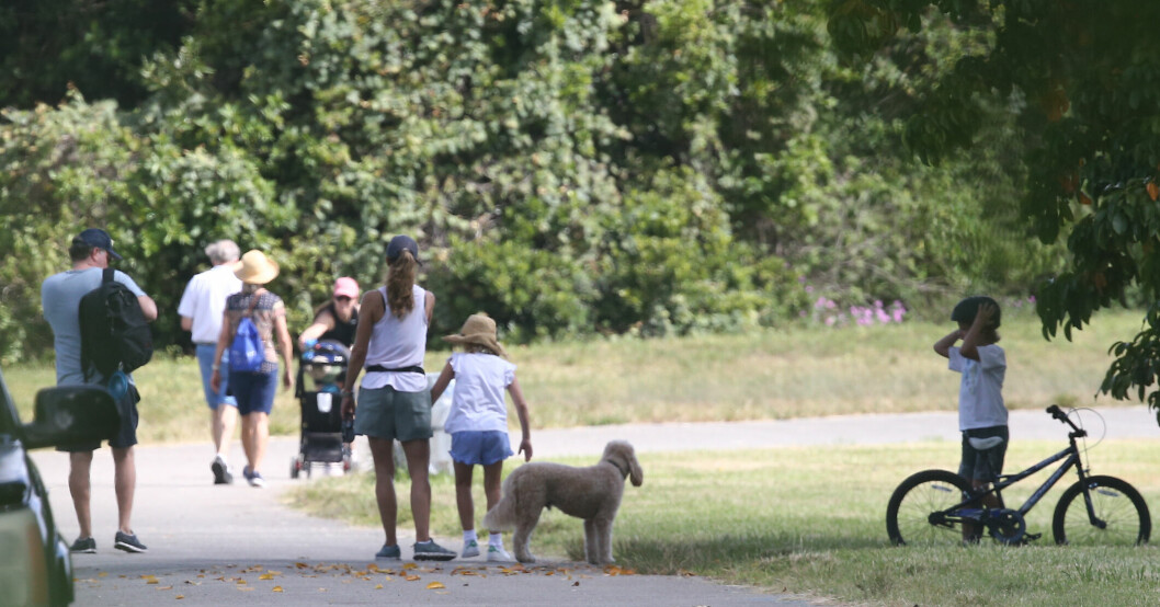 Hela prinsessfamiljen på Miami-utflykt – inklusive hunden Teddy! Prinsessfamiljen