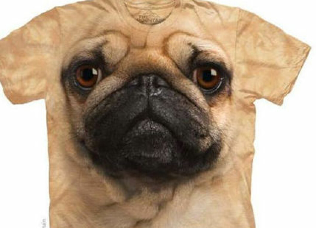 Mops