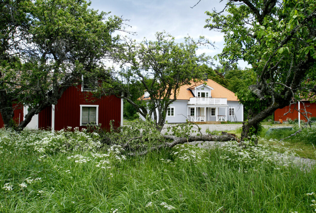 Ökenäs gård, här spenderar Carl Philip, Sofia, Alexander och Gabriel härliga sommardagar! Prins Carl Philips och prinsessan Sofias Ökenäs gård i Sörmland