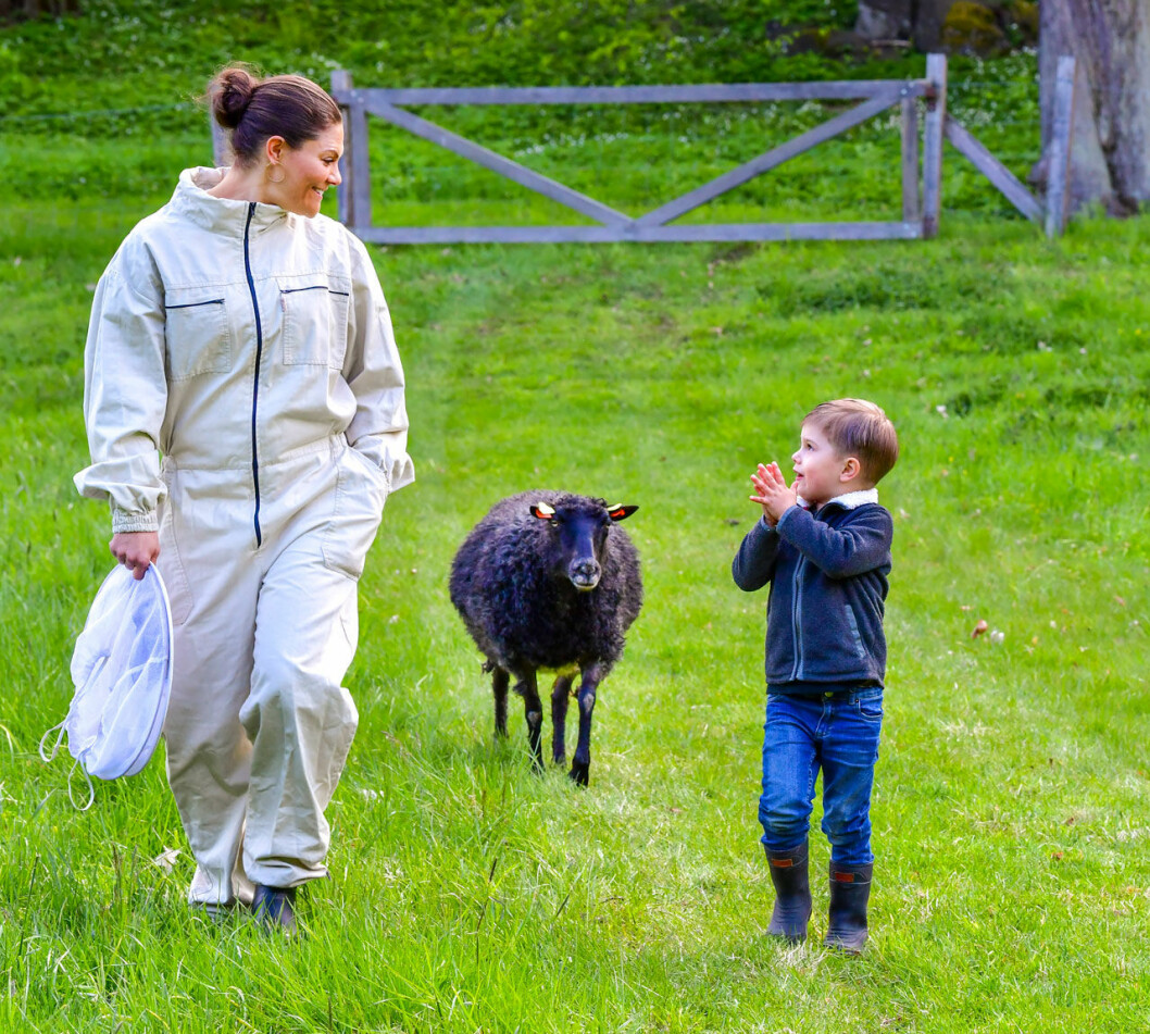 Kloka mamma Victoria vet hur viktigt det är för barn att få umgås med djur. Prins Oscar och kronprinsessan Victoria med fåren på Haga.