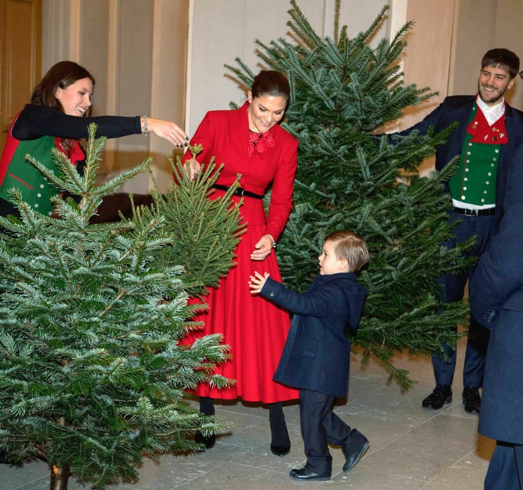 Vilken dröm att få välja ut sin alldeles egna julgran! prins oscar slottet granar