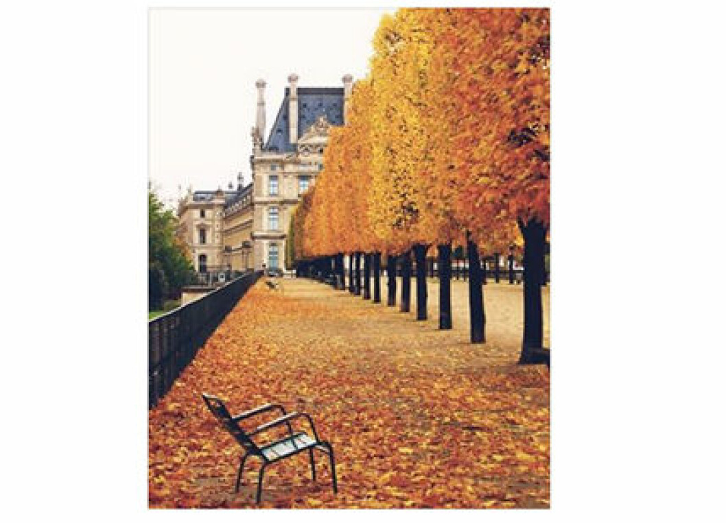 Paris-carina-axelsson