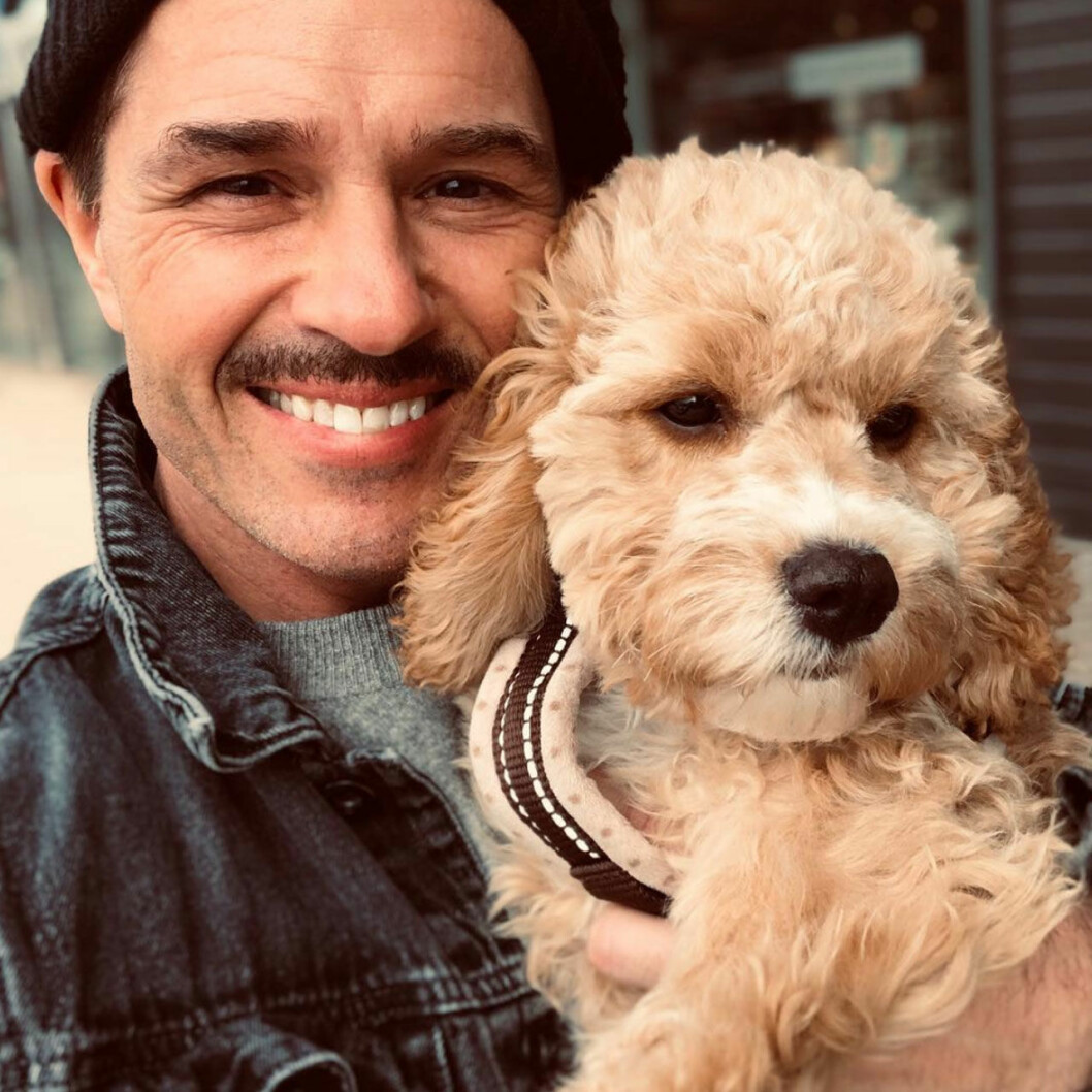 Peter Jöback är husse till Rocky Regnbågsmula, en cavapoo som nyligen fyllt ett. Den här bilden kommer från hans Instagram. Peter Jöback med sin cavapoo Rocky Regnbågsmula.