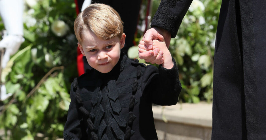 Prins George som brudnäbb.