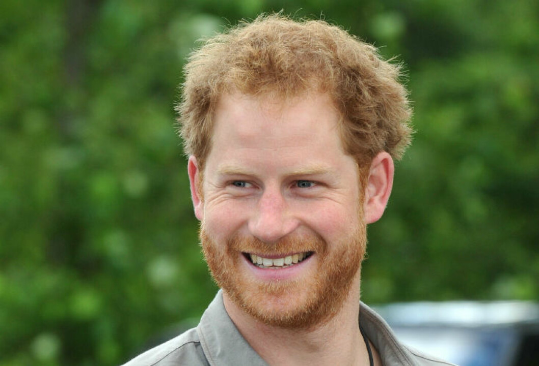 prins harry ibl