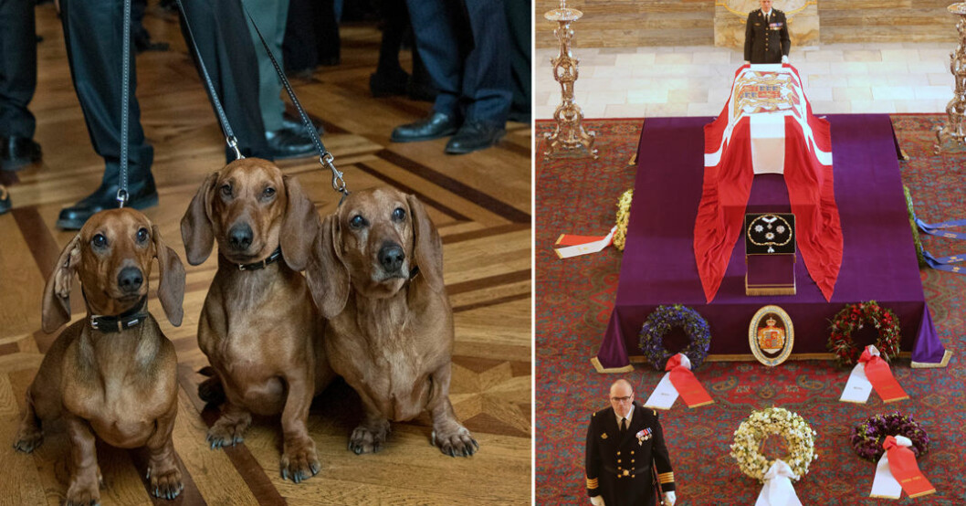 Henriks taxar tog farväl av prinsen