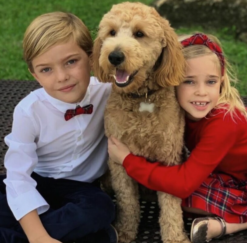 Prins Nicolas, 5, och prinsessan Leonore, 6, tillsammans med sin labradoodle Teddy.