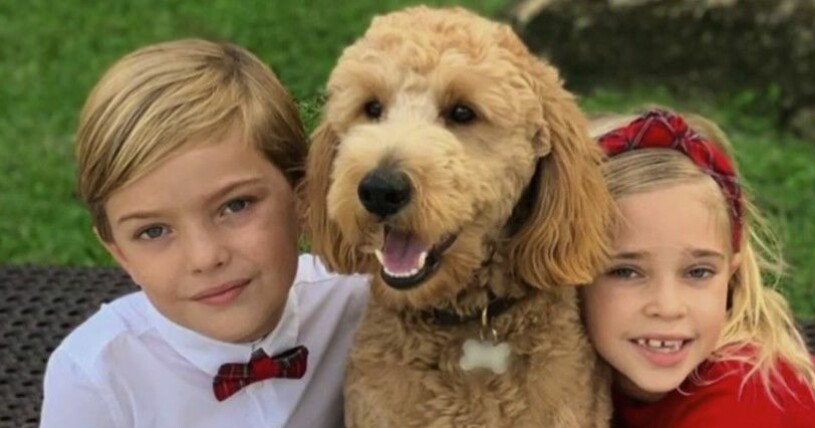 Prins Nicolas, 5, och prinsessan Leonore, 6, tillsammans med sin labradoodle Teddy. Prins Nicolas, hunden Teddy och prinsessan Leonore