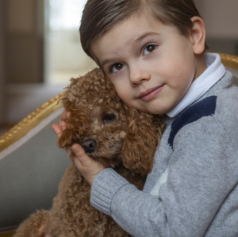 Prins Oscar 5 år Hunden Rio Cavapoo