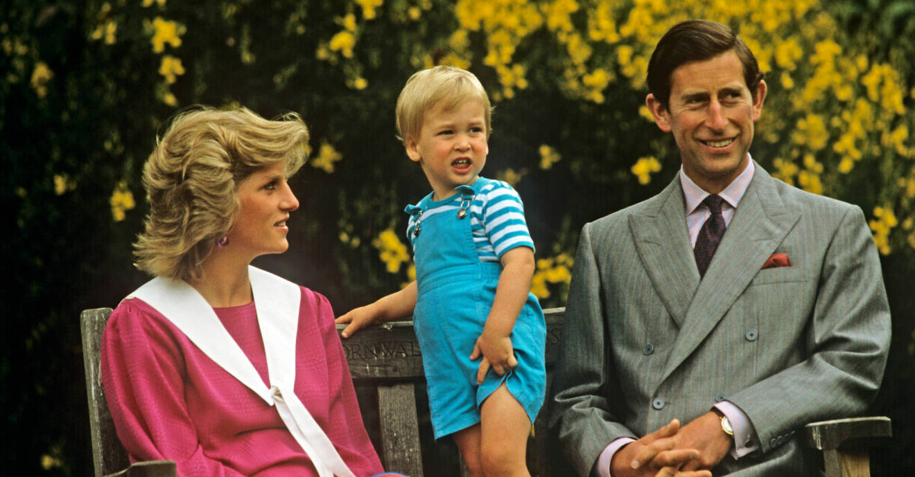 Prinsessan Diana, Kung Charles, prins William