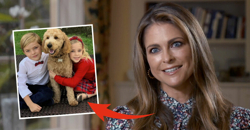 Prinsessan Madeleine kämpar på hemma i det hårt coronadrabbade Miami. Prinsessan Madeleine Prins Nicolas Prinsessan Leonore Hunden Teddy