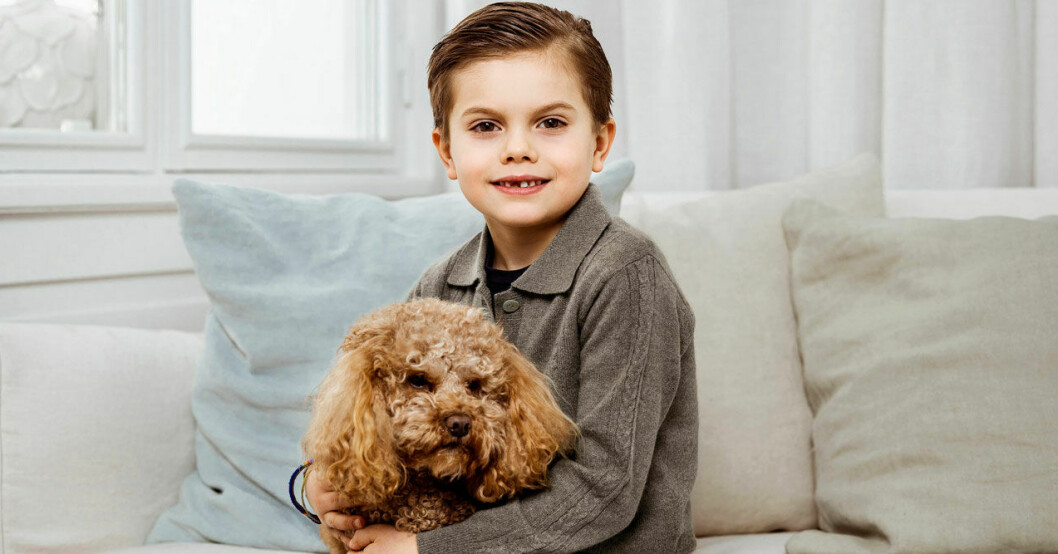 Finns det något vackrare än en pojke och hans lilla hund? Prins Oscar